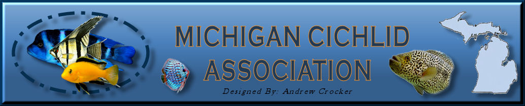 Michigan Cichlid Association
