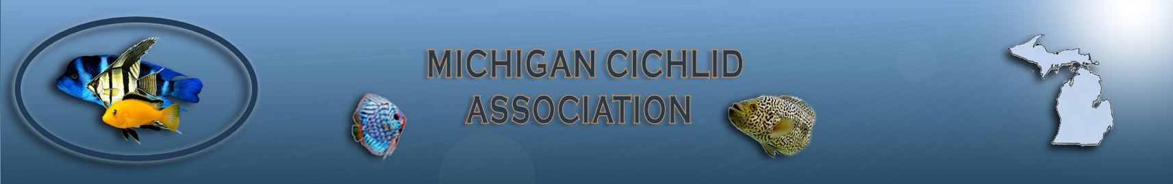 Michigan Cichlid Association